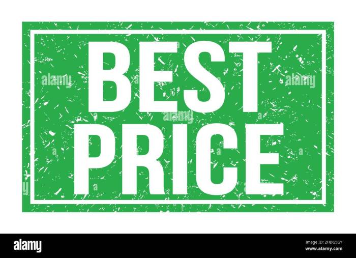 Best Long-Term Cryptocurrencies to Hold