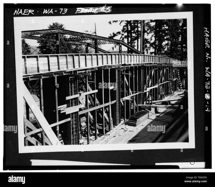 Top Altcoins to Watch in 2025